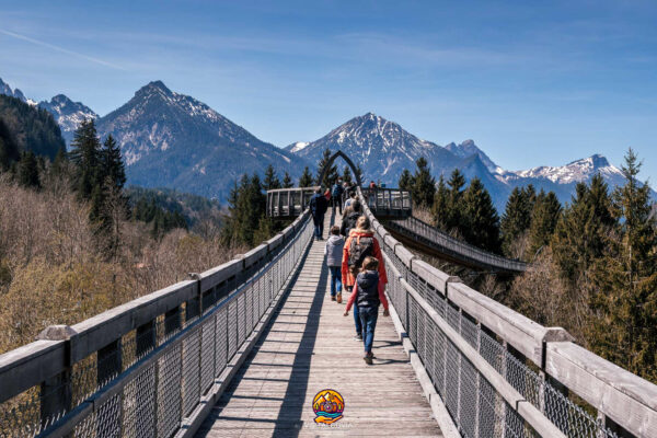 Attrazione Baumkronenweg a Füssen